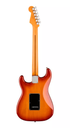 Guit. Elect. Fender Player Plus Stratocaster®, Pau Ferro Fingerboard, Sienna Sunburst