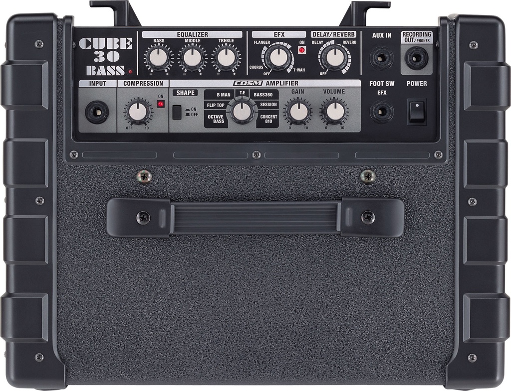 Amplificador Para Bajo Roland 30W 1X10