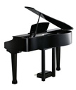 Piano De Cola Kurzweil KAG 100 Negro Brillante