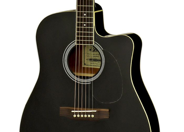 Guit. Eacustica Aria Pro II NEGRA c/resaque