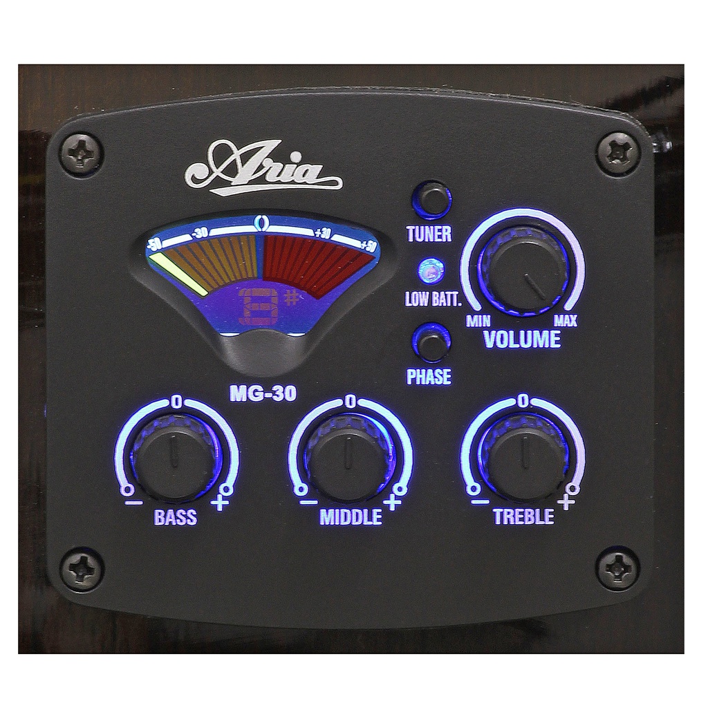 Guit. Eacustica Aria Pro II NEGRA c/resaque