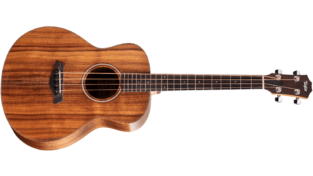 Bajo Electroacustico Taylor Gs Mini