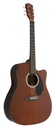 Guitarra Acustica Premium F4130C