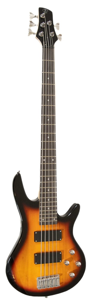 Bajo Electrico de 5 Cuerdas Con Funda Bs