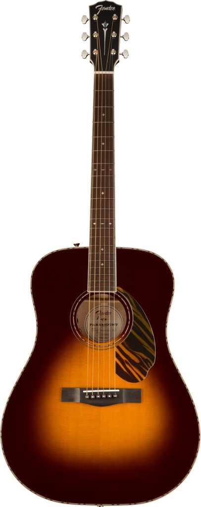 Guitarra Electroacustica Fender PD-220E
