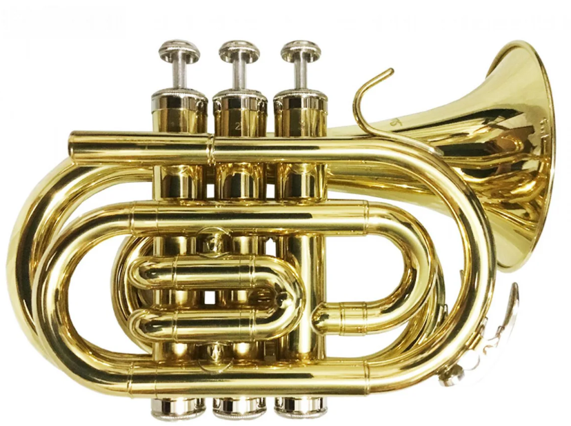 TROMPETA SIb LAQUEADA SILVERTONE POCKET