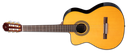 Guitarra Electroacustica Takamine GC5CE LH ZURDA