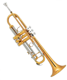[CNTP009] Trompeta Century Cobrizada High Grade 410L